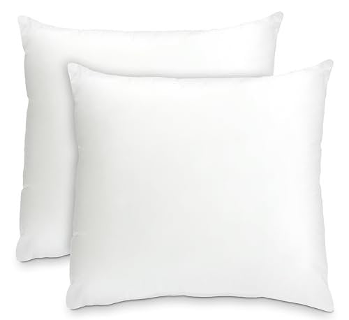 Foamily Square Throw Pillow Inserts 18 x 18 inch Set of 2 Decorative White Couch Pillow, Sham Fillers, Made in USA